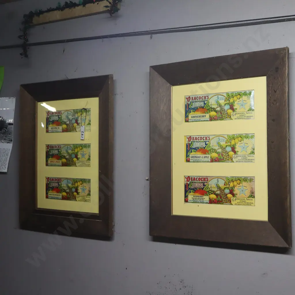 2X Peacocks Jams Framed Prints Image 1++