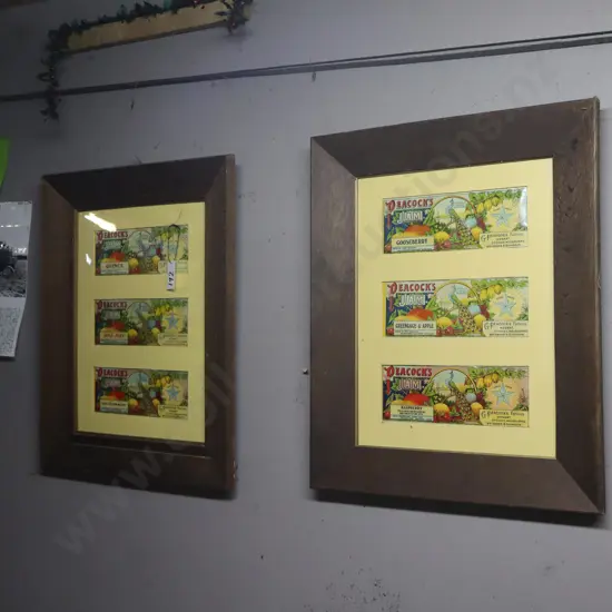 2X Peacocks Jams Framed Prints