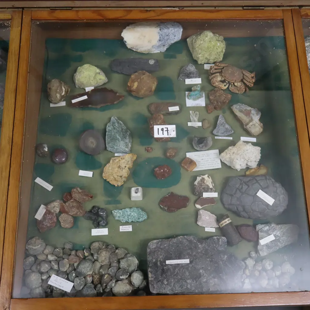 Cabinet Artifacts #3 Image 1++