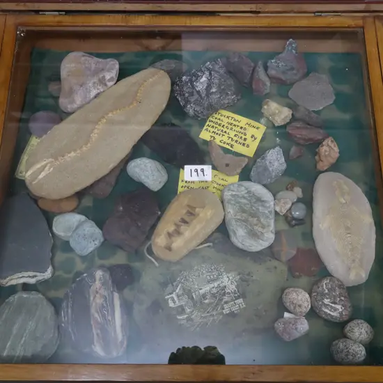 Cabinet Artifacts #5