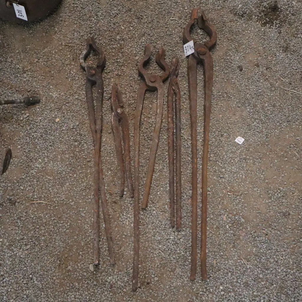 Blacksmith Tongs Image 1++