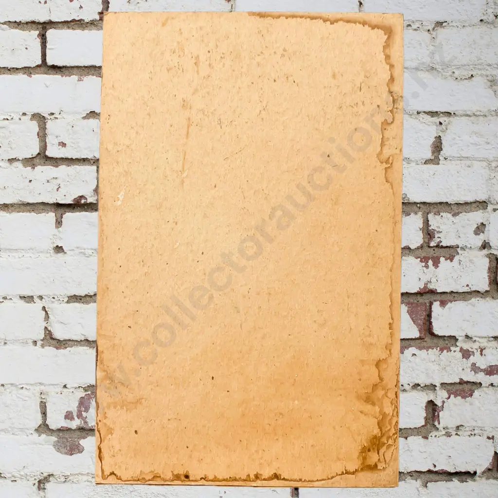 Wairakei Cardboard Sign Image 1++