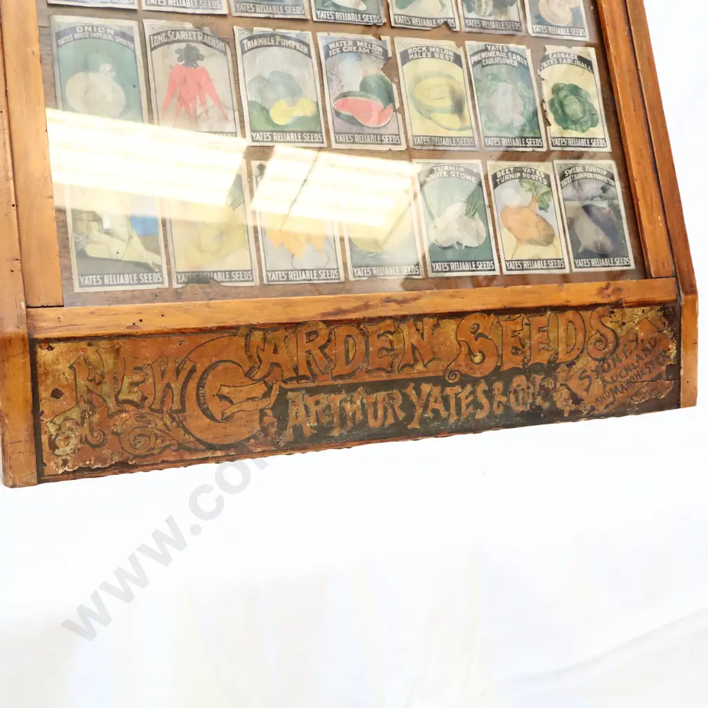 RARE Yates Seeds Cabinet Image 1++