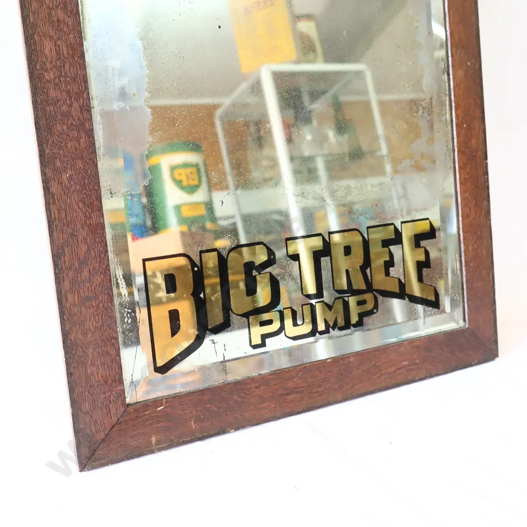 Big Tree Look For The Blue Pump Mirror Image 1++