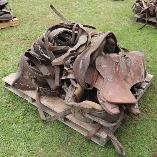 Pallet Horse Gear