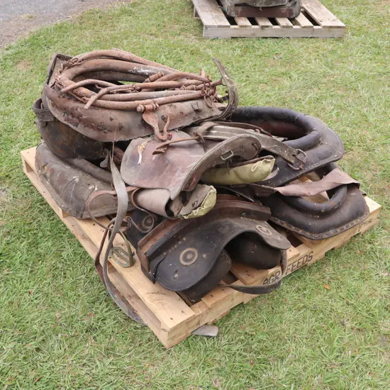 Pallet Horse Gear