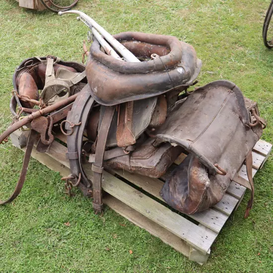 Pallet Horse Gear
