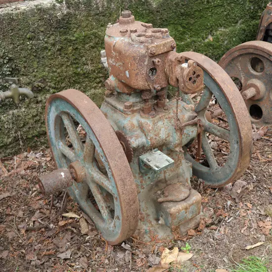 Lister Twin Flywheel Stationary Engine. 60cm Flywheels