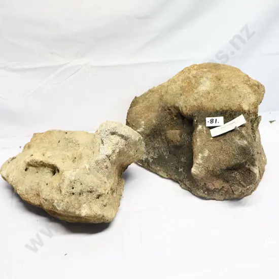 Whale Vertebra