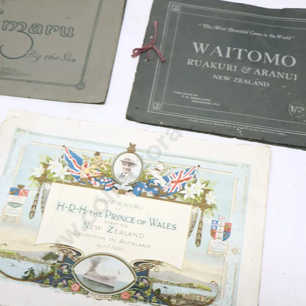 Assorted New Zealand Souvenir Booklets Image 1++