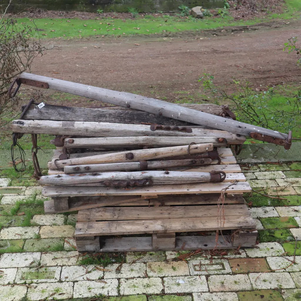 Swindle Trees #2 Image 1++