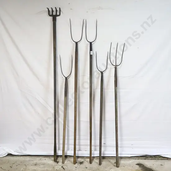 Collection of Hay & Pitch Forks