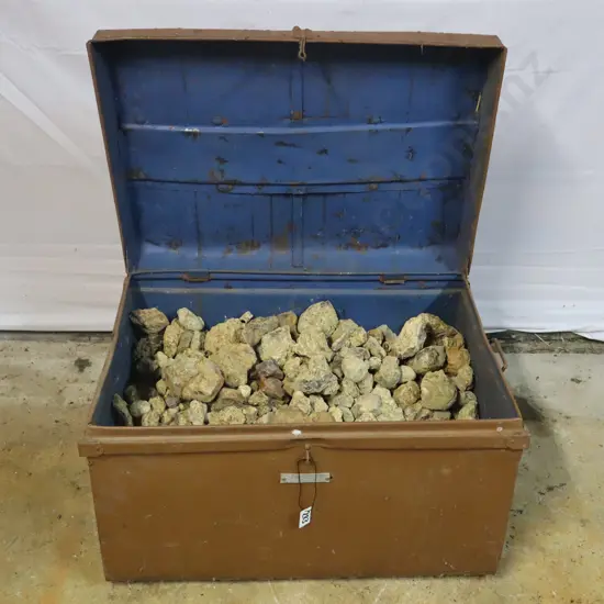 30 Plus KG of Kauri Gum