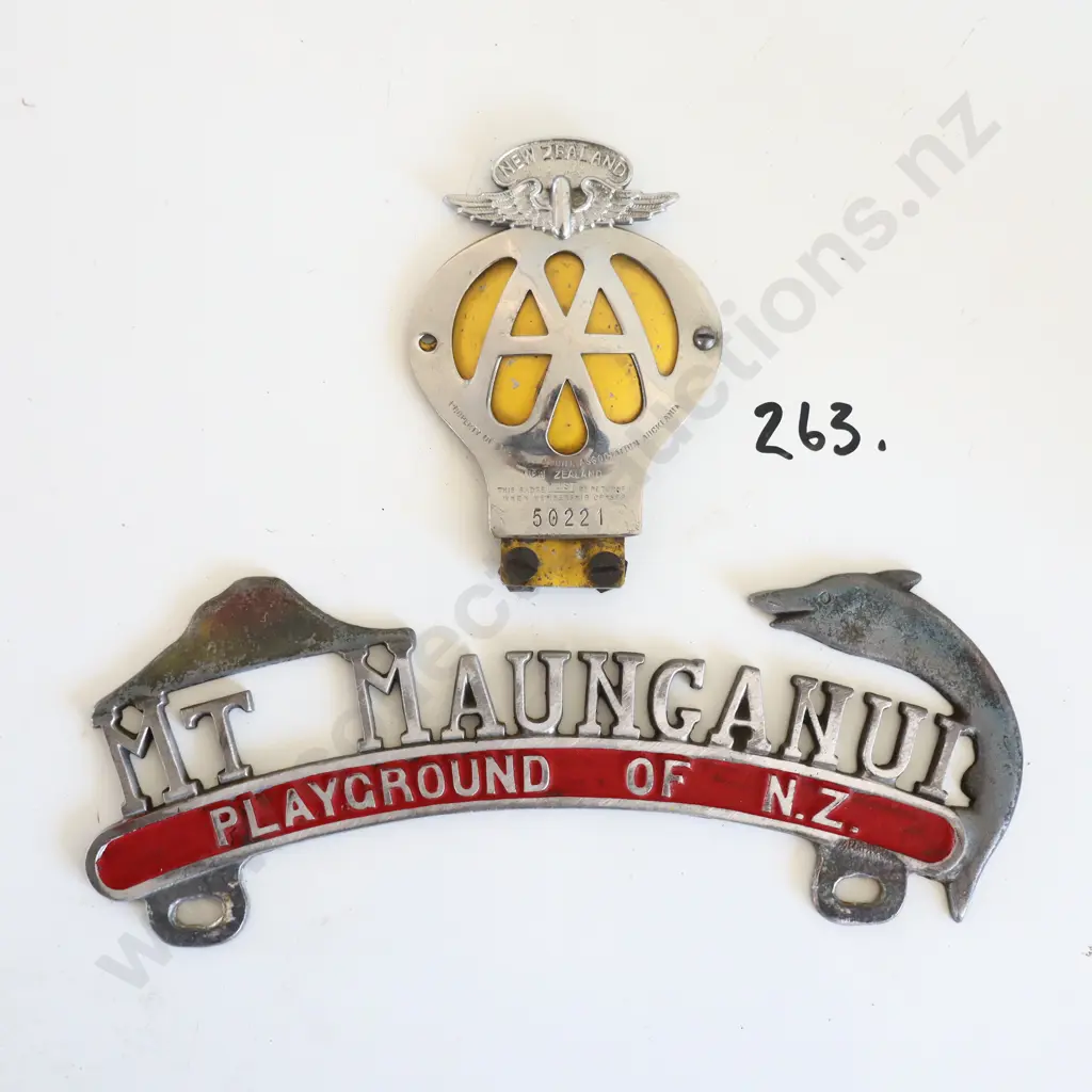 Mount Maunganui Number Plate Topper And AA Badge Image 1++